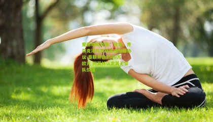 爱游戏网页版：独家，齐尔克泽与罗马达成加盟协议 曼联开价3500万欧元 阿莫林认定其无留队价值